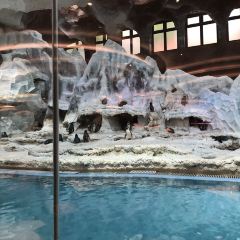 Emperor Penguin All Day Dining User Photo