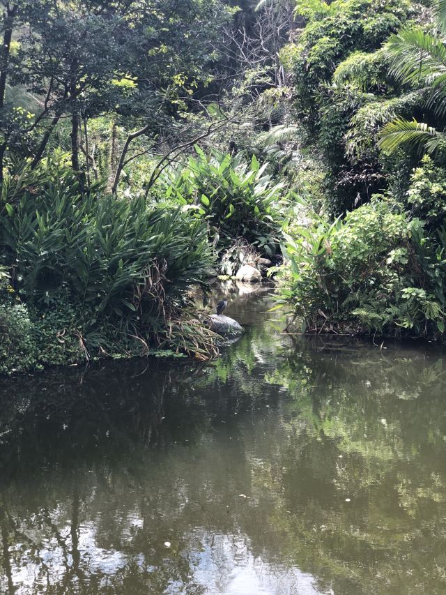 정인곡