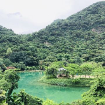 評論圖片 5