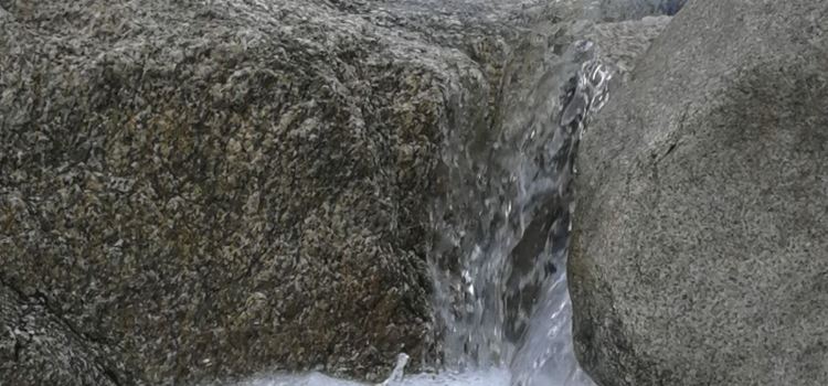百花峪栗子园