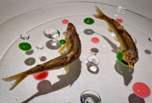 Narisawa用戶圖片