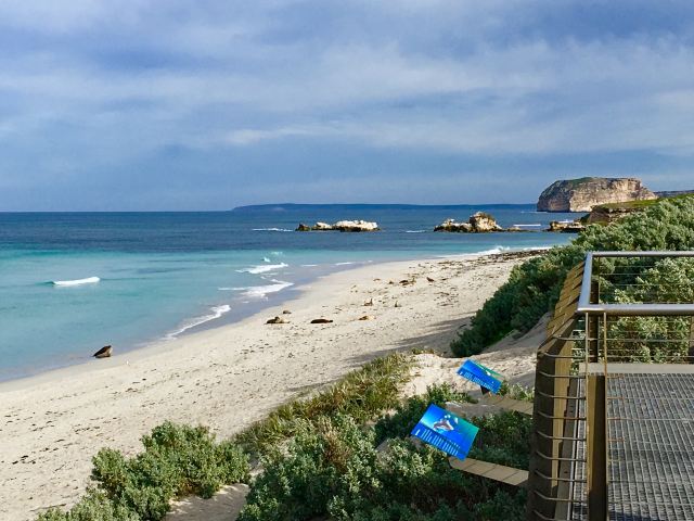 Seal Bay