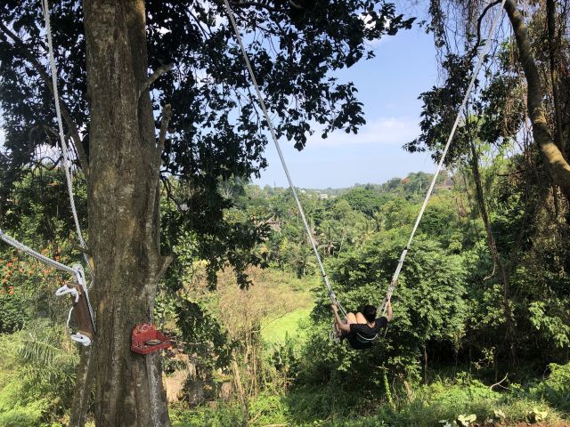 Campuhan Ridge Walk