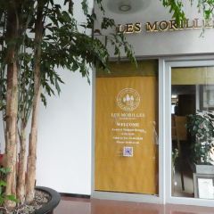 LES MORILLES User Photo
