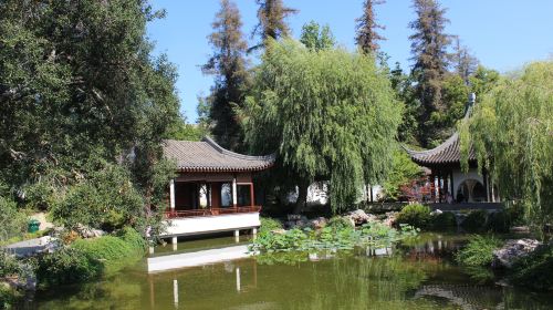 The Huntington Library, Art Museum, and Botanical Gardens