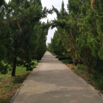 評論圖片 6