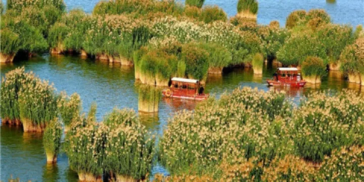 曉蘭漁家(沙湖店)