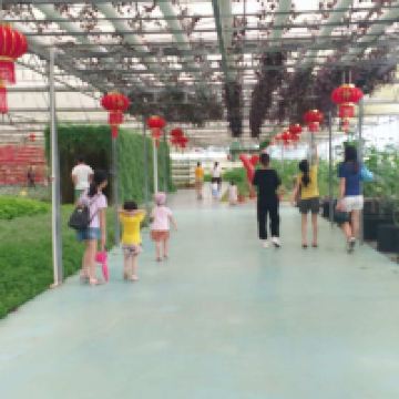 評論圖片 6