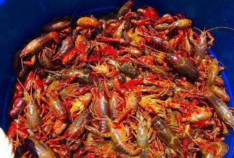 Pacific Beach Fish Shop User Photo