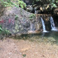 評論圖片 6