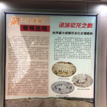 評論圖片 9