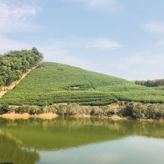西塞山前白鹭湾餐厅 User Photo