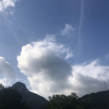 評論圖片 4