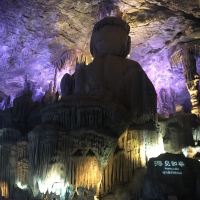 評論圖片 5