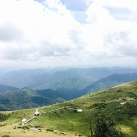 評論圖片 2
