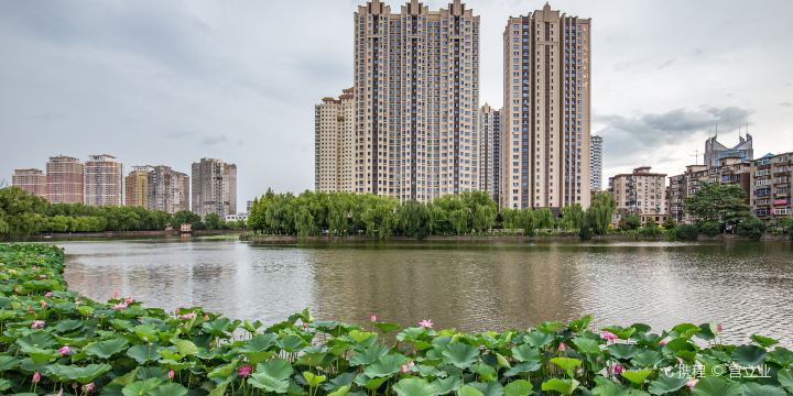 칭후 공원