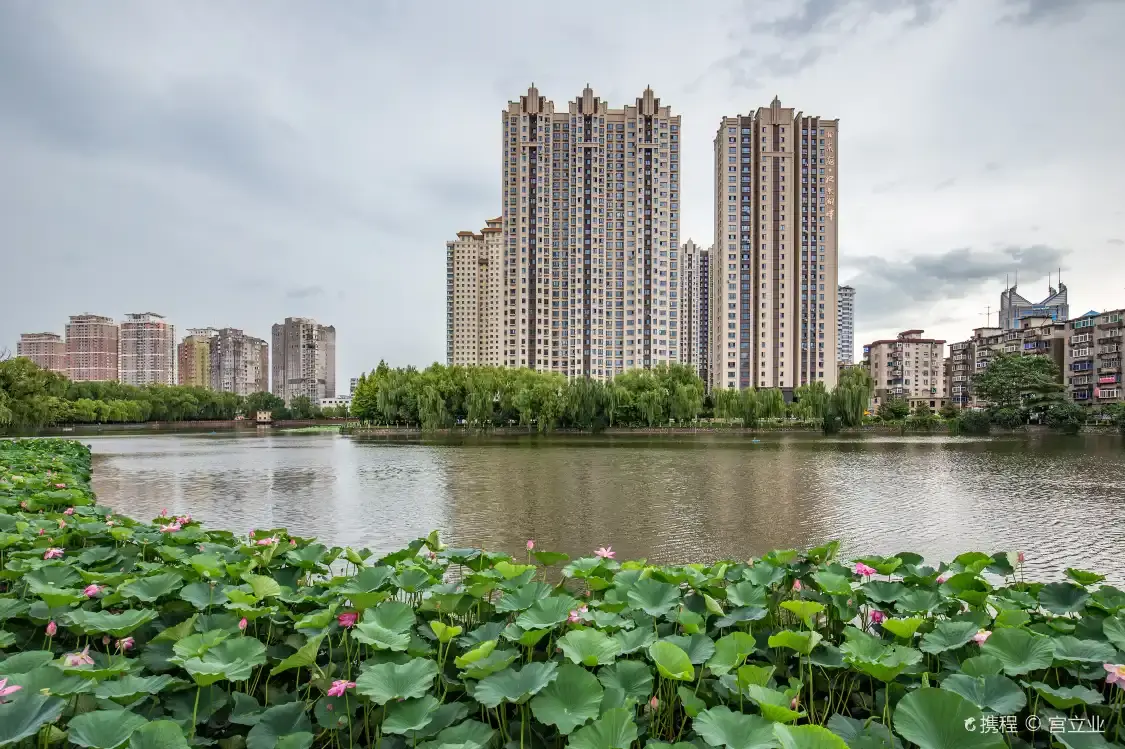 Hotels near Qingnianhu Park