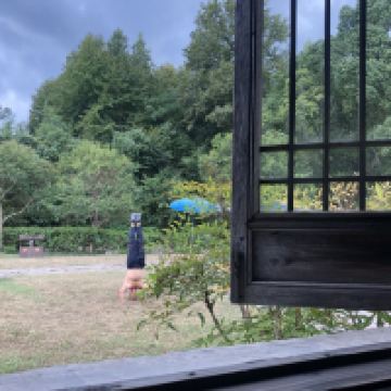 評論圖片 6