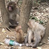 評論圖片 7