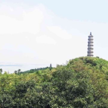 評論圖片 3
