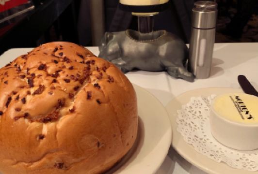 MORTON'S 莫爾頓牛排坊（北京麗晶酒店）用戶圖片