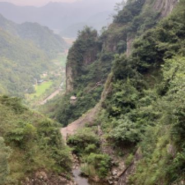 評論圖片 5