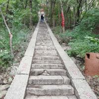 評論圖片 8