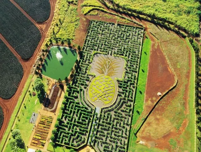 繽紛夏威夷 | 如何玩轉彩虹州,這幾種顏色告訴你!