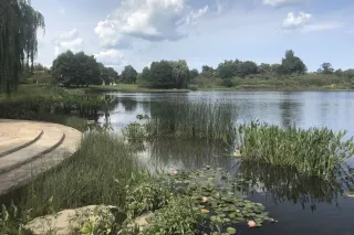 The Complete Guide to Chicago Botanic Garden