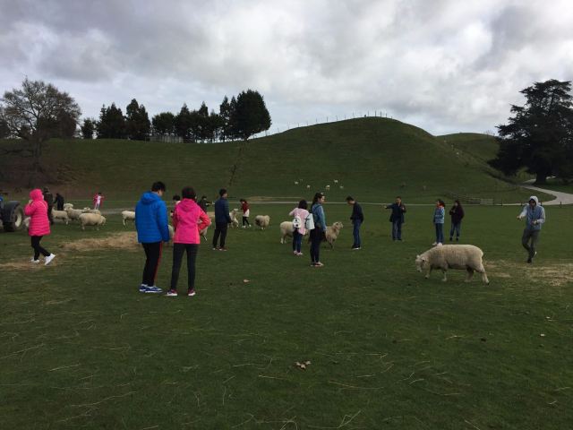 彩虹泉自然公園