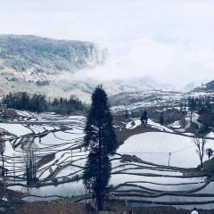 元阳县梯田哈尼火塘 ảnh của người dùng