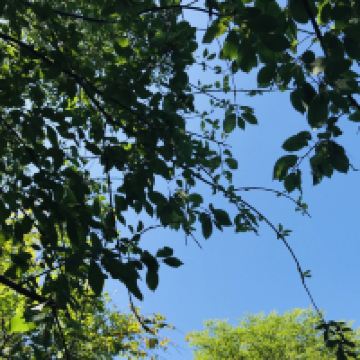 評論圖片 7