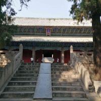 評論圖片 1
