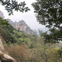 評論圖片 9