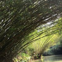 評論圖片 7
