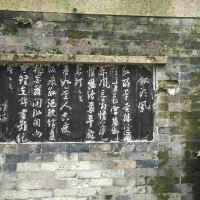 評論圖片 5