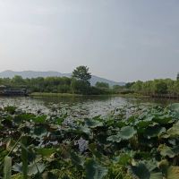 評論圖片 9