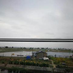 Fujixieyuanlaozihaonongjiale·zichanzixiao User Photo