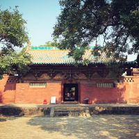 評論圖片 9