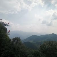 評論圖片 6