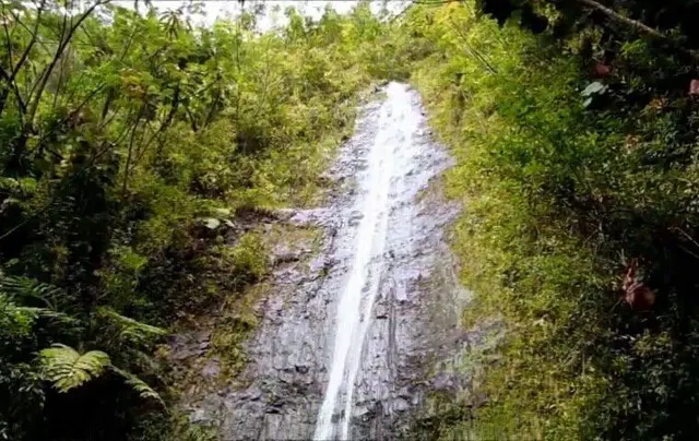 The Best Trail in Honolulu: Manoa Falls