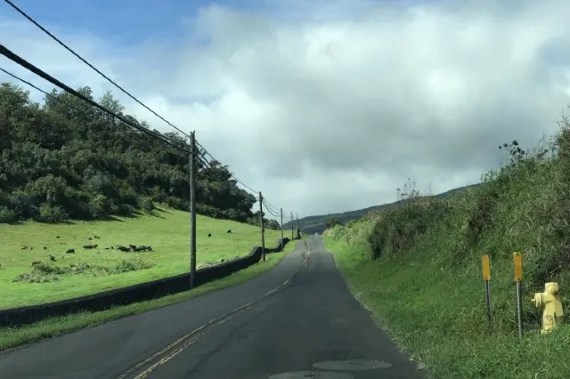 Make the Best Plan to Makapuu Lighthouse Trail in Honolulu