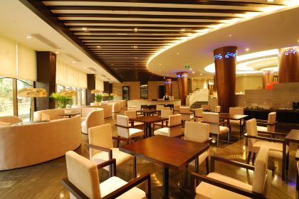 中复康醉石汤泉酒店中餐厅