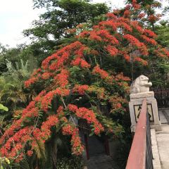 七仙岭君澜度假酒店7/5餐厅 여행 사진