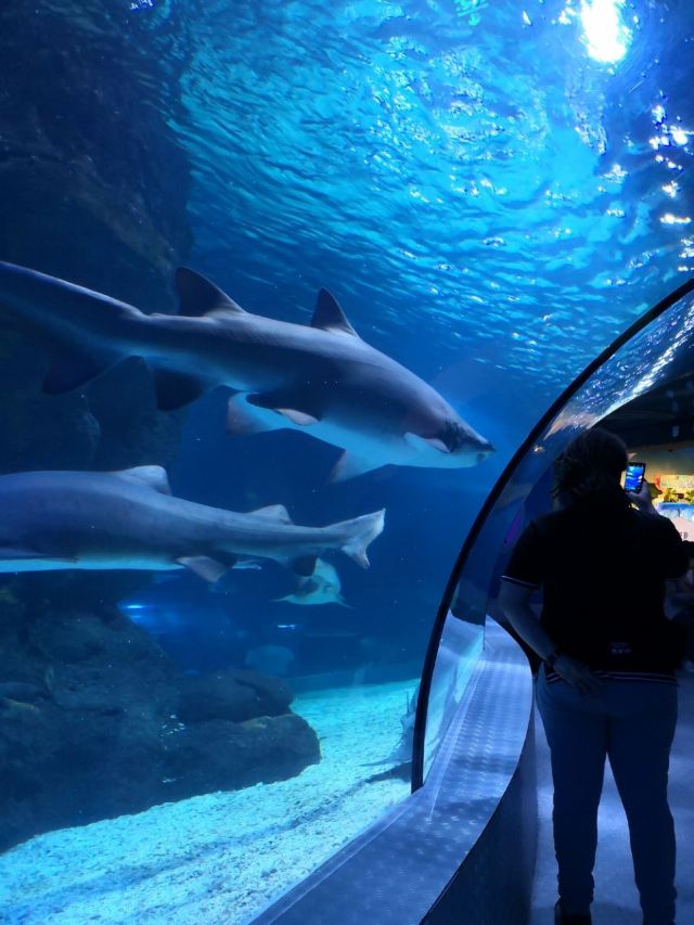 Changfeng Ocean World
