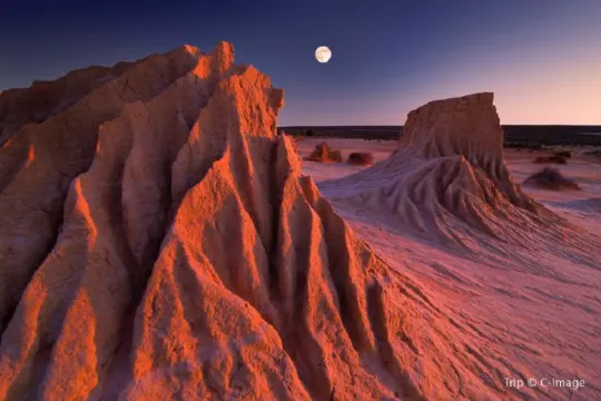 9 Nice Short Trips in Sydney