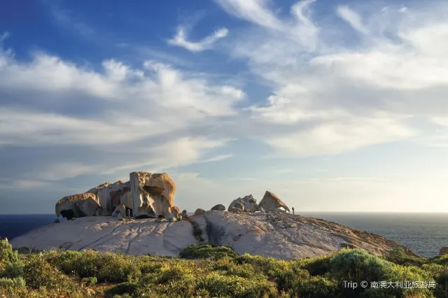 Discover Nature: 15 Most Beautiful Australian National Parks