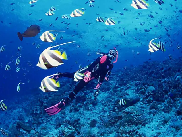 Go Your Own Way!—Niche Activity Ideas in Phuket