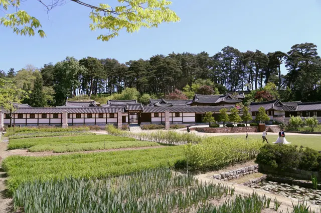 Beaches, Sunrise, Pastures, and Grassland, 9 Experiences that You Must Have in a Tour of Kangnung