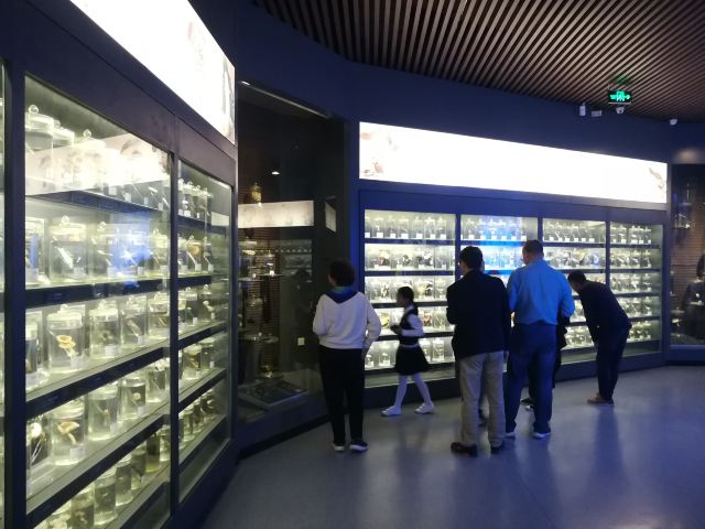 慶元縣香菇博物館